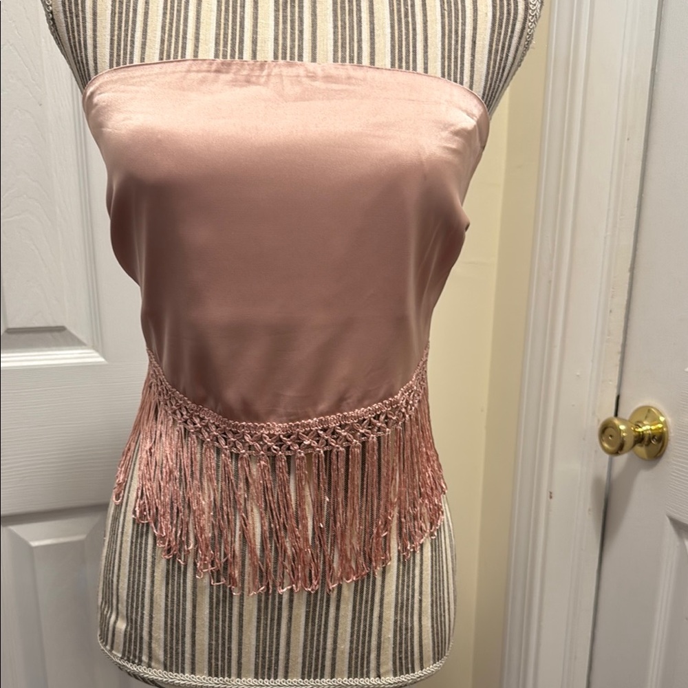 Elegant Pink Satin Fringe Tube Top Lane 201 Lg New